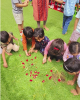 child-images